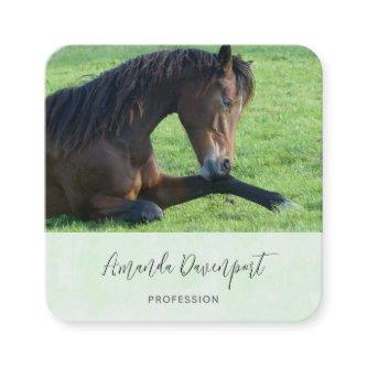 Pretty Brown Horse Laying in the Grass Square