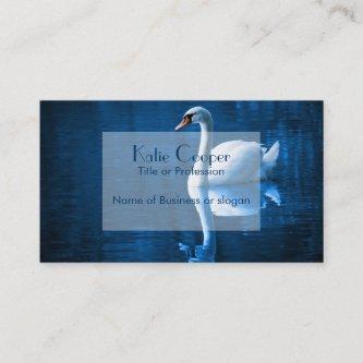 Pretty white swan floating on a blue lake