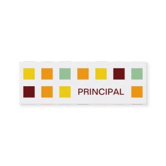PRINCIPAL (mod squares) Mini