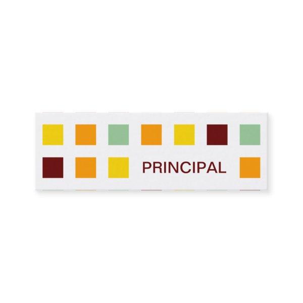 PRINCIPAL (mod squares) Mini