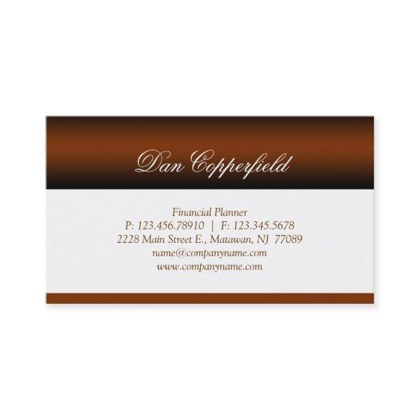 Professional  Financial Planner 2