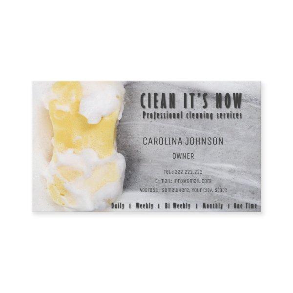 professional cleaning services maid sponge