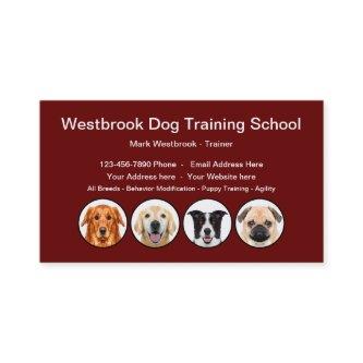 Professional Dog Training School