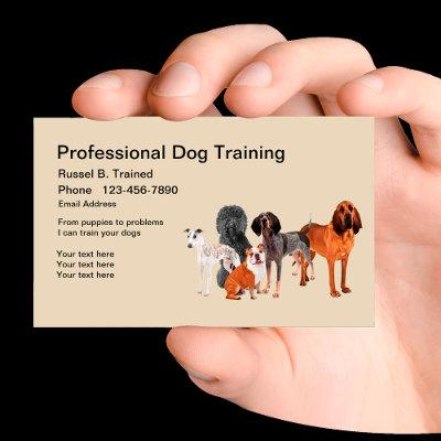 Professional Dog Training Service