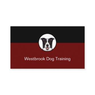 Professional Dog Training Service Modern