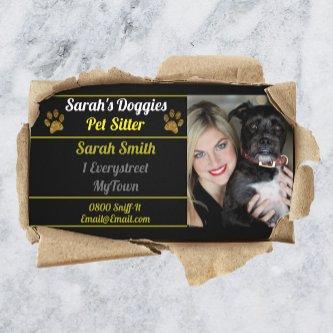 Professional Dog Walker Pet Sitter