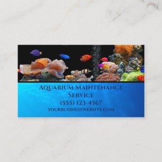 Professional Fish Aquarium Maintenance Service