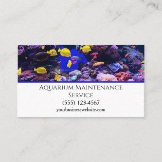 Professional Fish Aquarium Maintenance Service