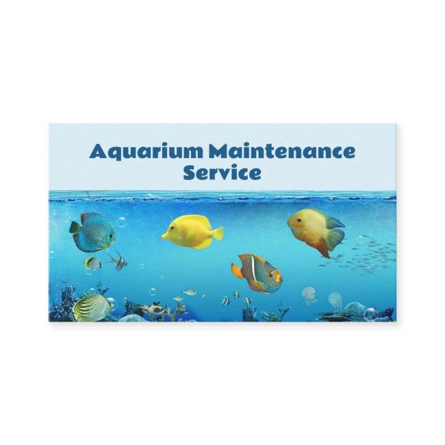 Professional Fish Aquarium Maintenance Service