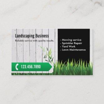 Professional Lawn Care & Landscaping