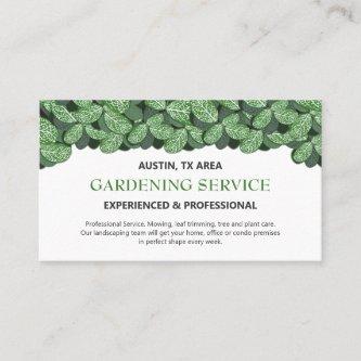 Professional & Modern Gardening / Landscaping