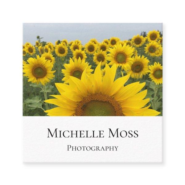 Professional Photographer Sunflowers Photo  Square