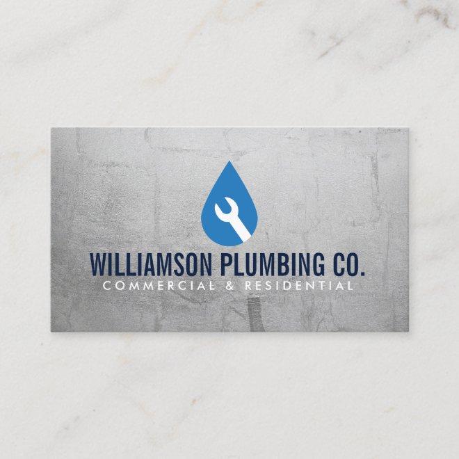 Professional Plumbing Logo and