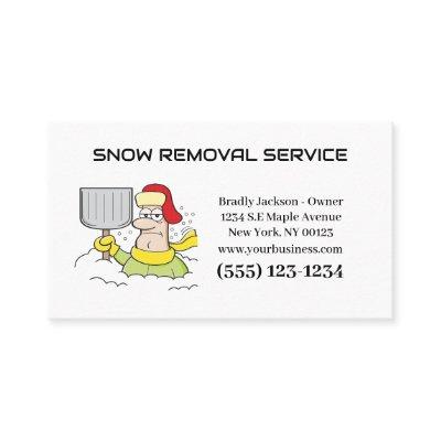 Professional Snow Removal Service