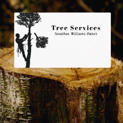 Professional Tree Trimming Services