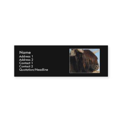 Profile Card Template - Highland Cattle