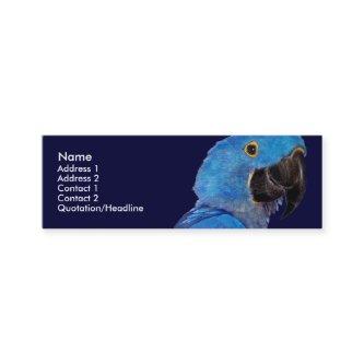 Profile Card Template - Hyacinth Macaw