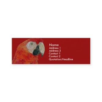 Profile Card Template - Macaw