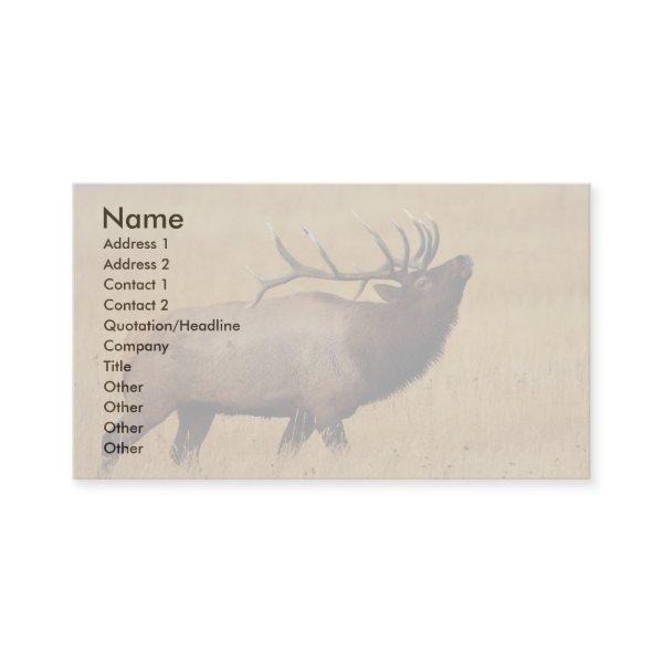 profile or , elk