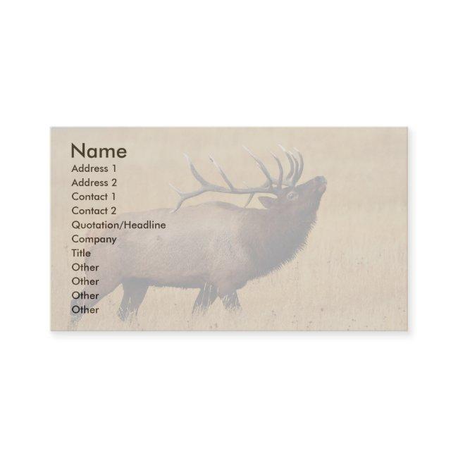 profile or , elk