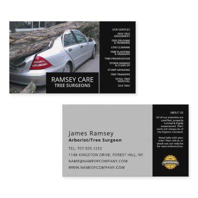 Property Damage - Tree Surgeon - Arborist
