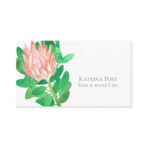 Protea Flower Watercolor Plant Botanical Pink