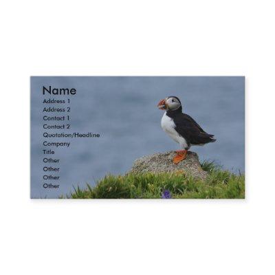 Puffin Card