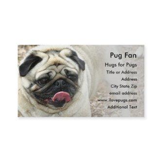 Pug #2 Photo