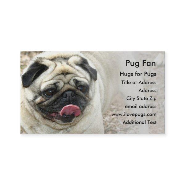 Pug #2 Photo