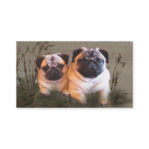 Pug Breeder