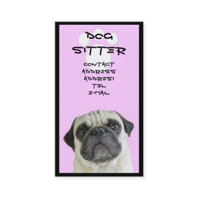 Pug Dog sitter