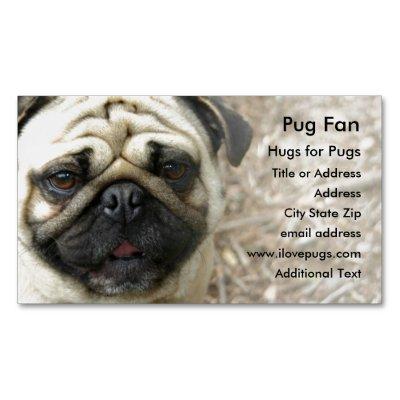 Pug Photo - Magnet