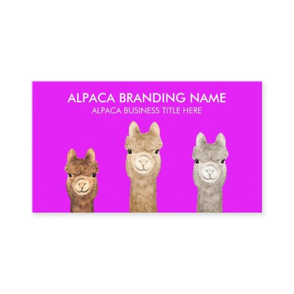 Purple Alpaca Animal