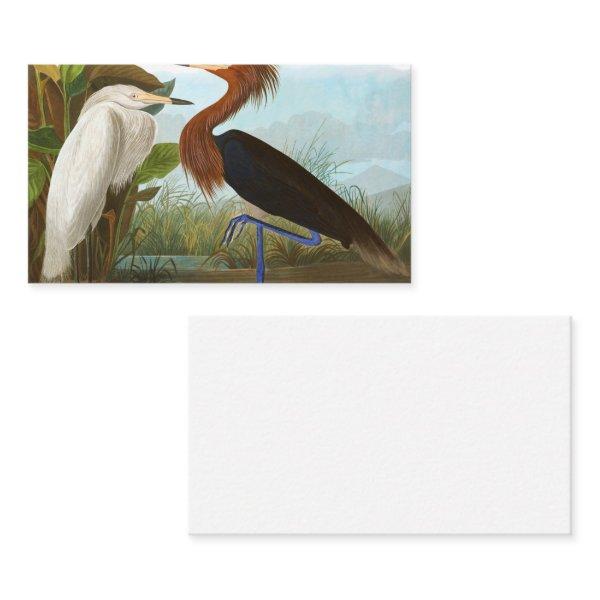 Purple Heron by John James Audubon
