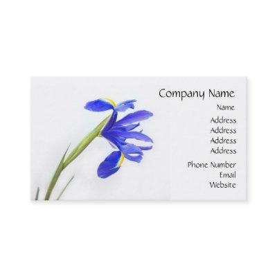 Purple Iris Flower