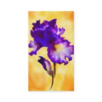 Purple Iris (flower)