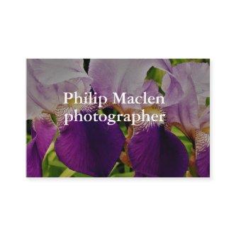 Purple Iris Flower Photo Standard Matte