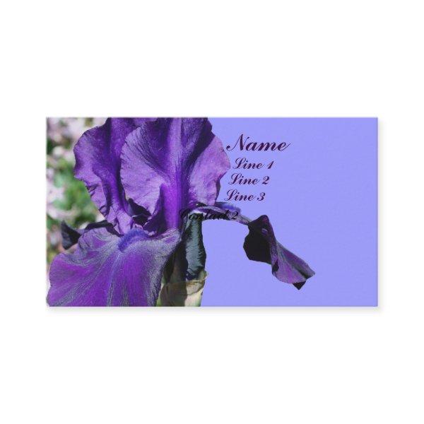 Purple Iris Flower Up Close