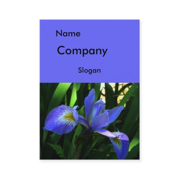 Purple Iris Large