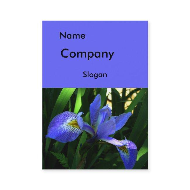 Purple Iris Large