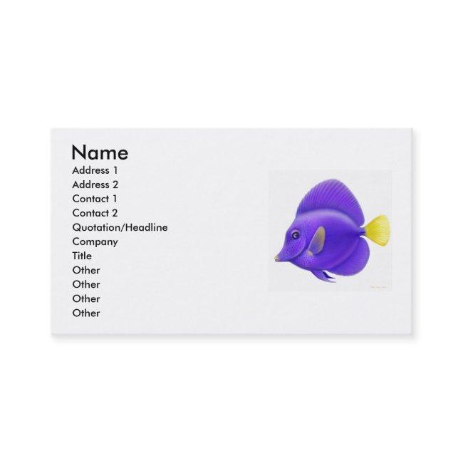 Purple Sailfin Tang