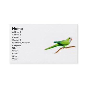 Quaker Parrot Profile Card