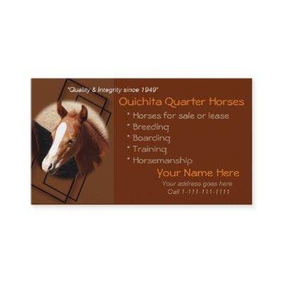 Quarter Horse & Colt -1-customize