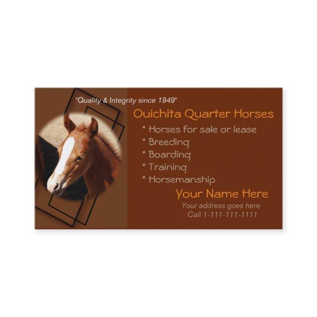 Quarter Horse & Colt -1-customize