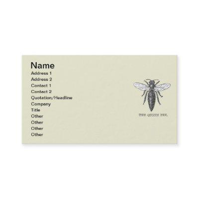 Queen Bee Bug Insect Antique Illustration