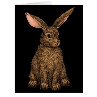 Rabbit 3