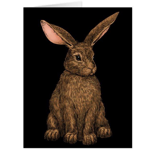 Rabbit 3