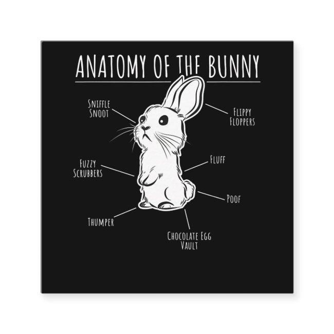 Rabbit Gift |Anatomy Of Bunny Cute Rabbit Pet Love Square