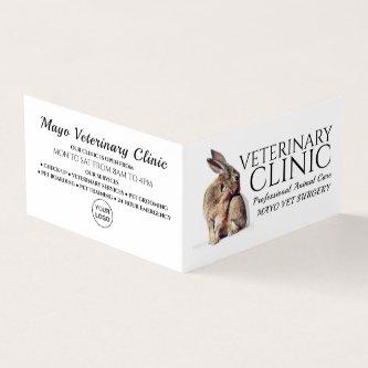Rabbit, Veterinarian, Veterinary Service Detailed