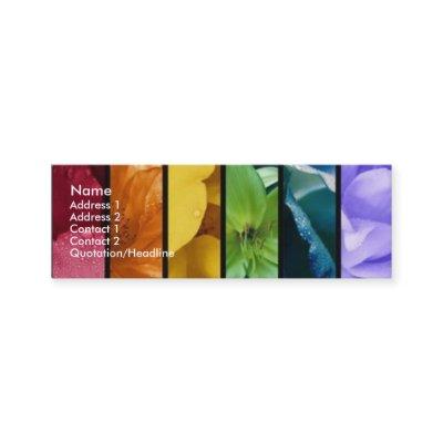 Rainbow Pride Profile Card